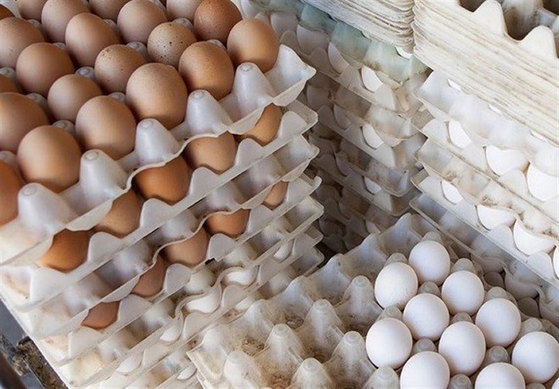 توزیع تخم مرغ تنظیم بازار امروز در خراسان شمالی آغاز می شود